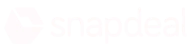 snapdeal logo | AppVin Technologies