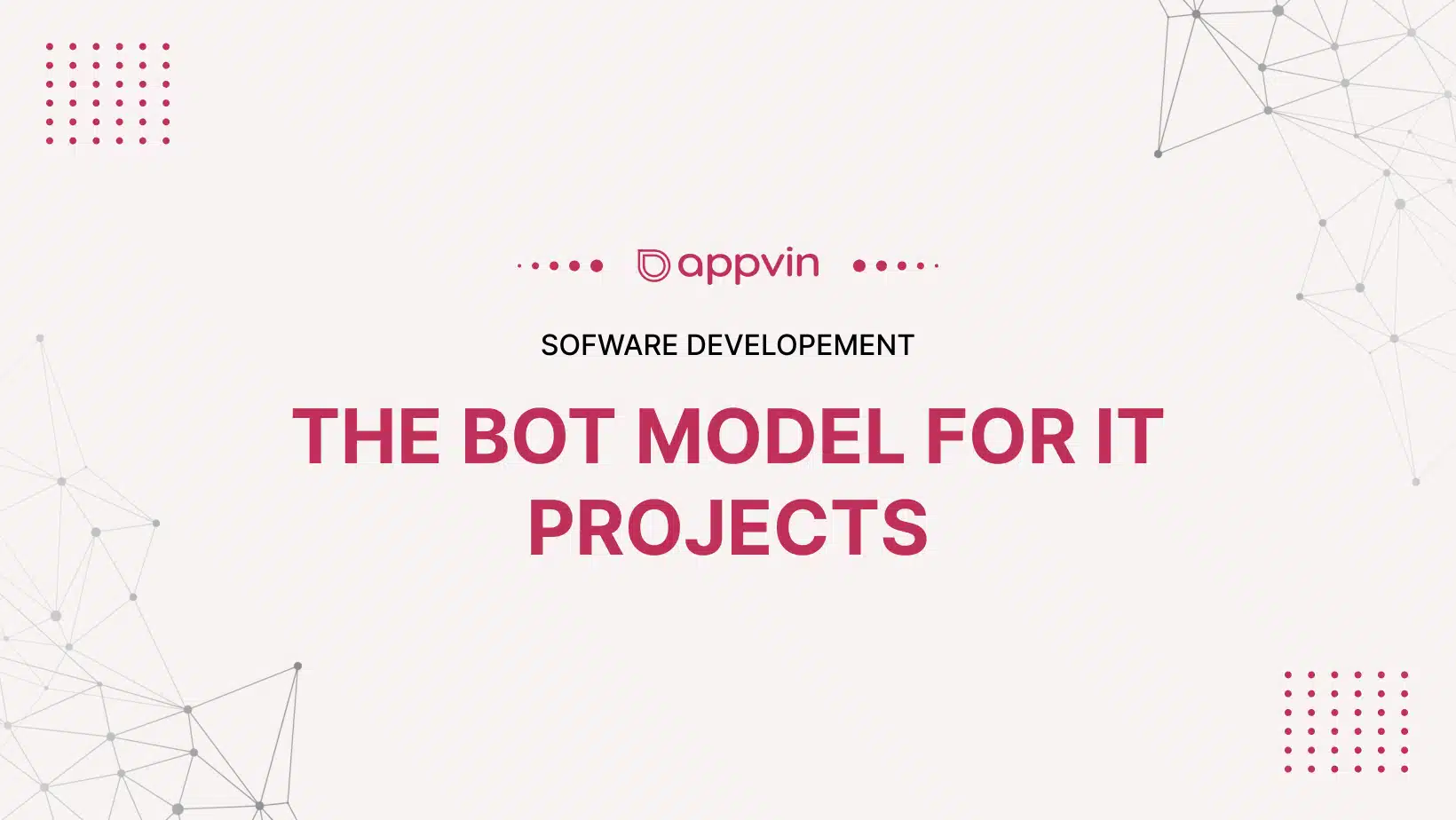 The BOT Model for IT Projects